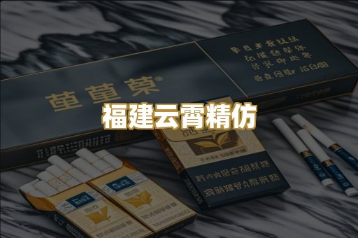 福建云霄精仿